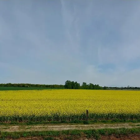 Einzigartiges Einfamilienhaus Ruhe Und Komfort *